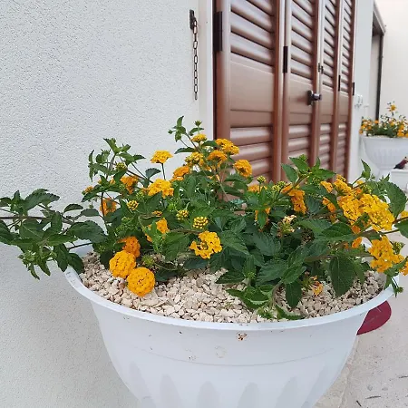 La Casa Di Colino E Annina Casa rural *