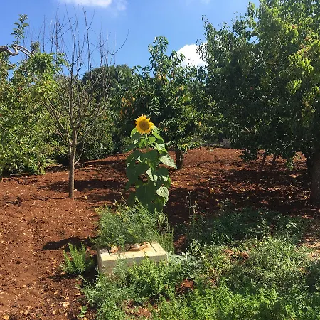 La Casa Di Colino E Annina Casa di campagna