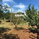 La Casa Di Colino E Annina *