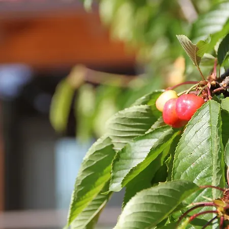 La Casa Di Colino E Annina Casa rural *